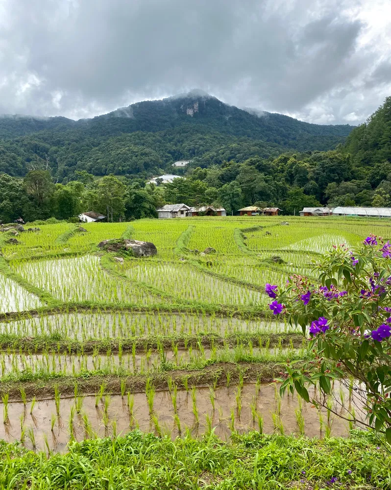 Doi Inthanon