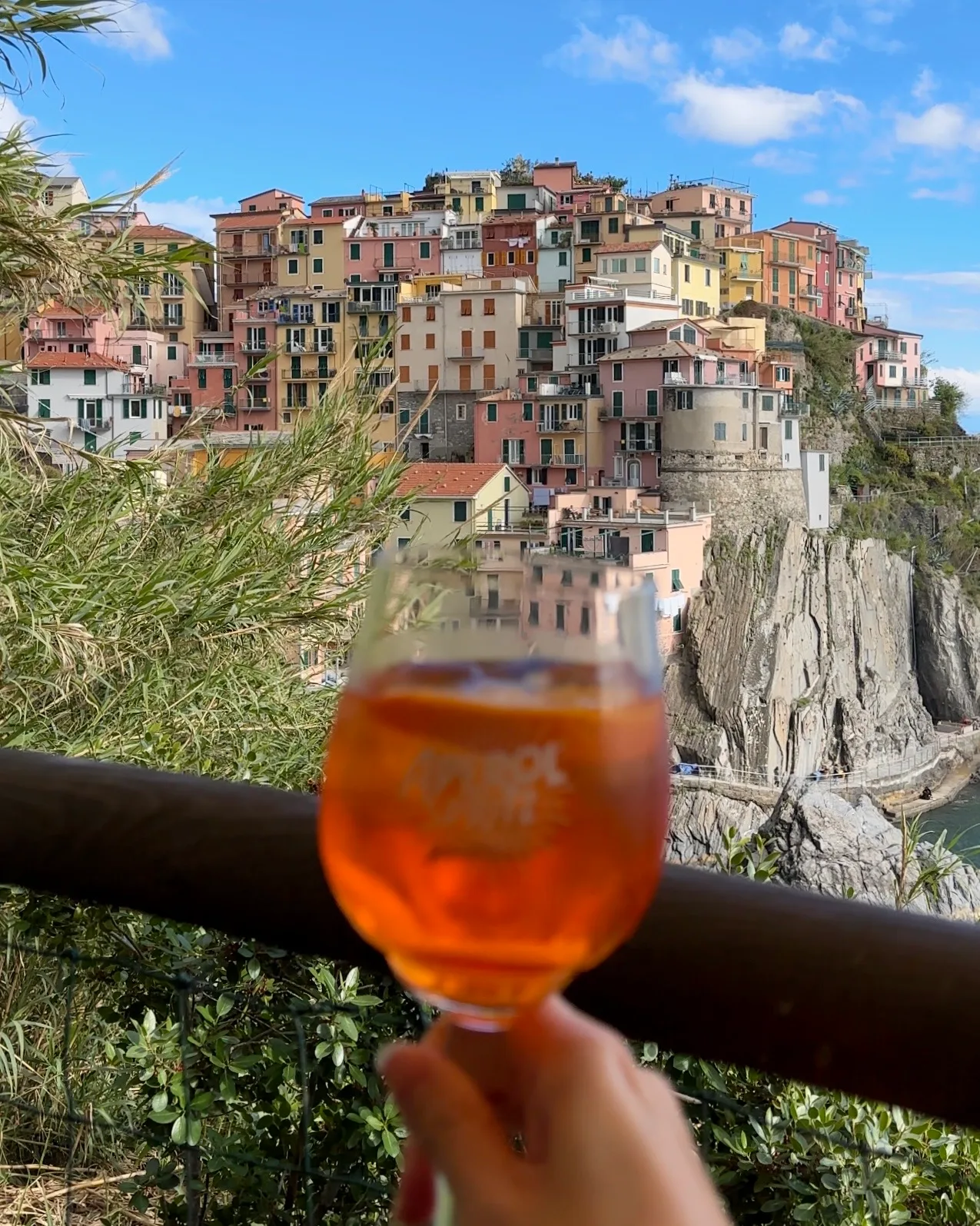 Colorful houses of Manarola from the scenic hiking trail